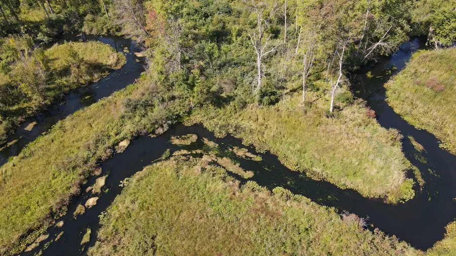 52524 Johnson Road, Three Rivers, MI 49093 - #3