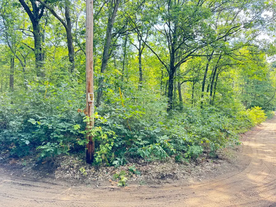 8th Avenue, Bitely, MI 49309 - #2