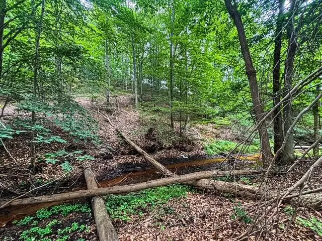200 S Oceana Drive, Shelby, MI 49455 - #3