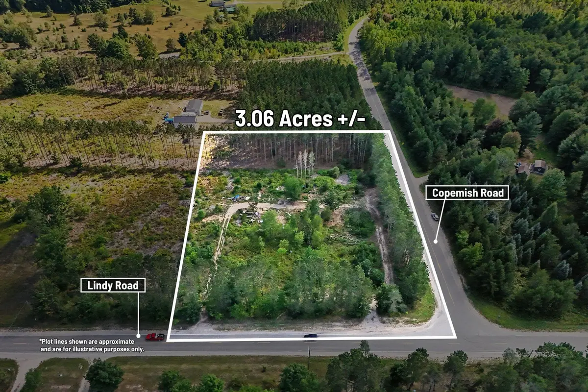 17711 Lindy Road, Thompsonville, MI 49683 - #1