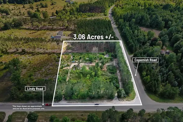 17711 Lindy Road, Thompsonville, MI 49683