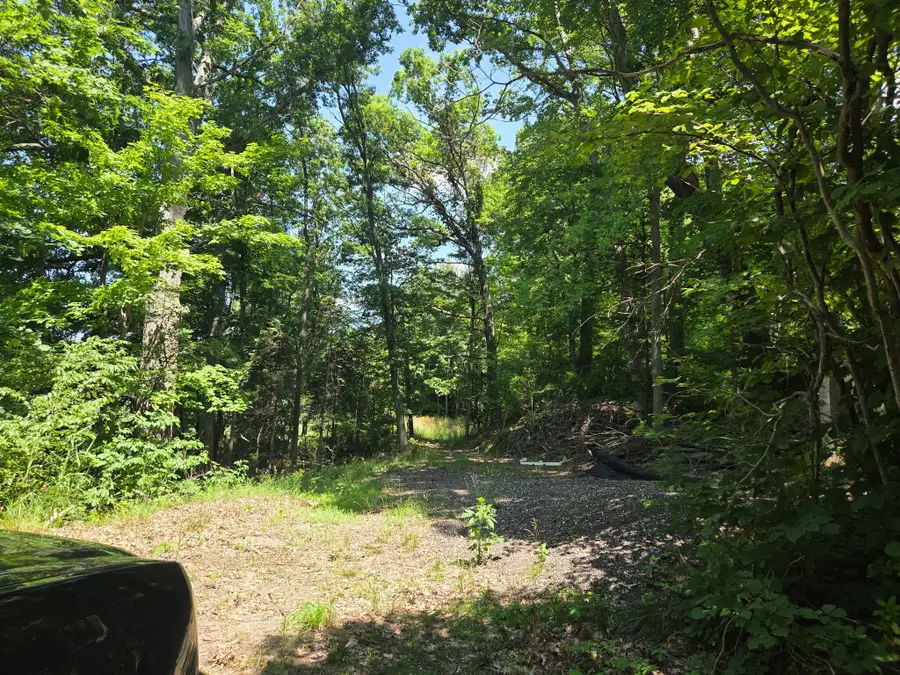 6695 S Brooks Road, Fruitport, MI 49415 - #3