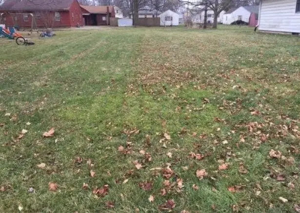323 S Pleasant Street, Watervliet, MI 49098 - #2