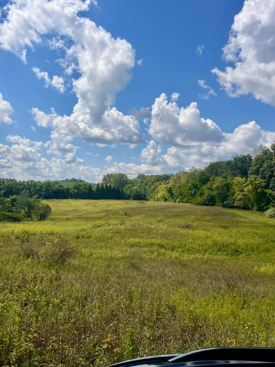 2260 N Gibbs Road, Albion, MI 49224 - #2
