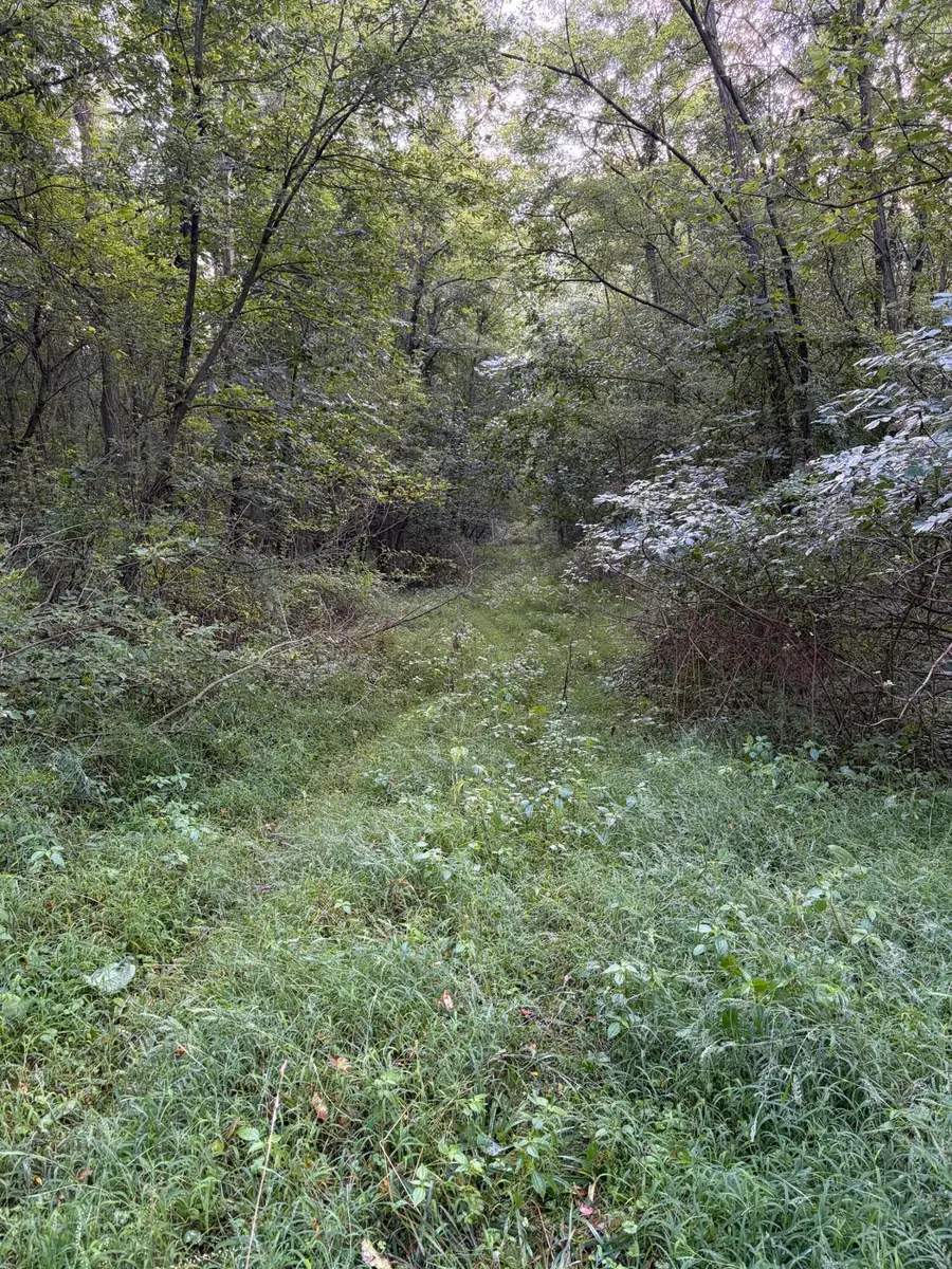 4416 Cronk Road, Allen, MI 49227 - #3