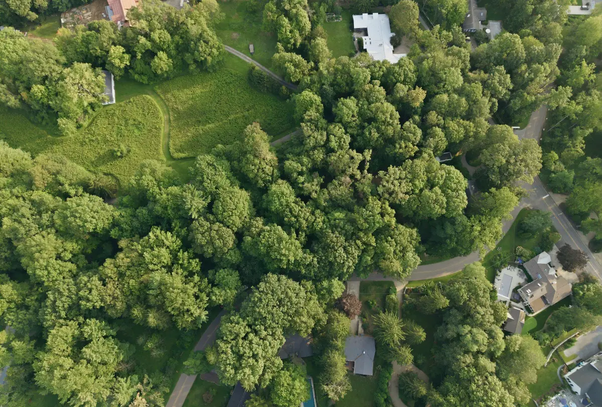 Lakeshore Road, Lakeside, MI 49116 - #1