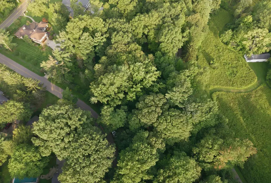 Lakeshore Road, Lakeside, MI 49116 - #3