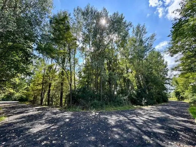 Heather Ridge Road, Marshall, MI 49068 - #1