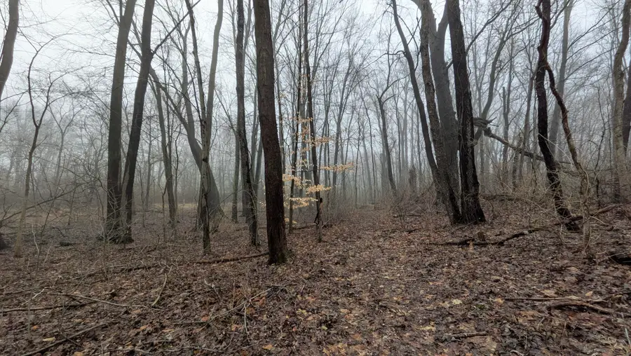 Tuttle Hill Road, Willis, MI 48191 - #2