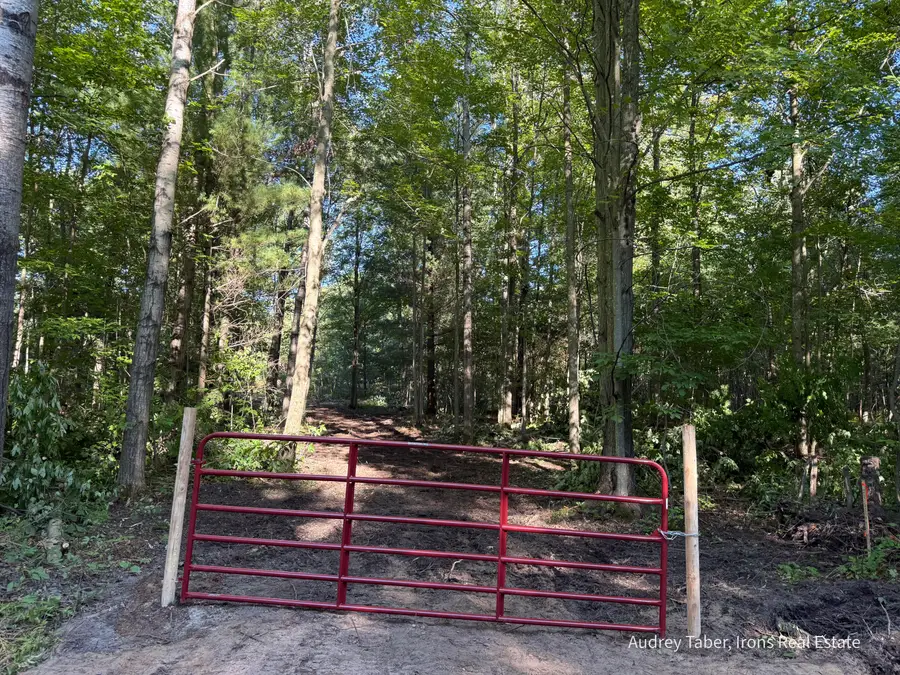 Par 2 Clements Road, Kaleva, MI 49645 - #2