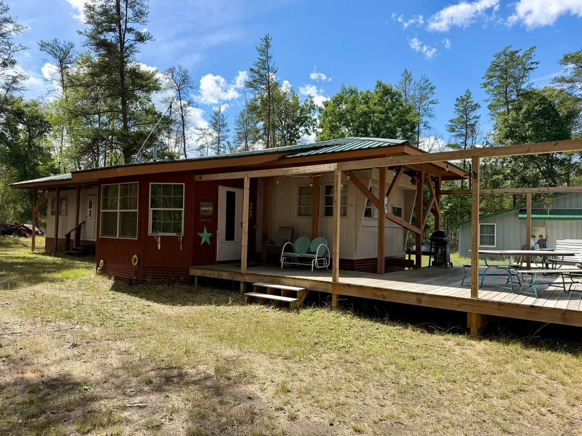 10797 N Twin Creek Road, Irons, MI 49644 - #1