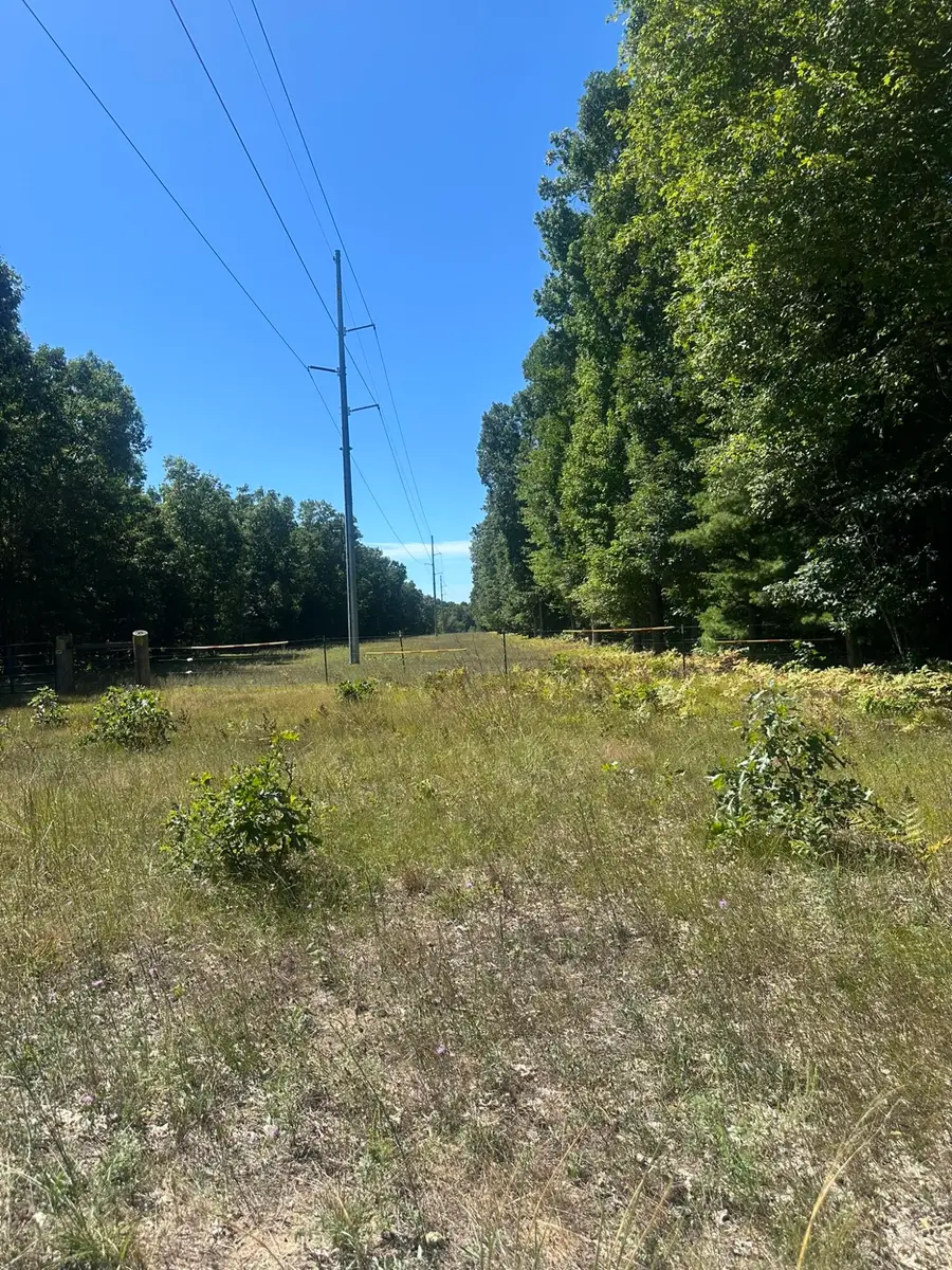 108th Avenue, Rothbury, MI 49452 - #3