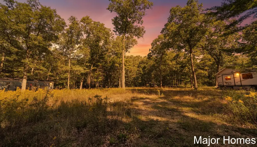 318 E Church Road, Twin Lake, MI 49457 - #2