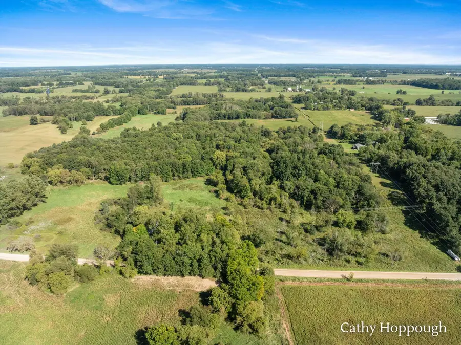 1218 N Marble Road, Belding, MI 48809 - #3