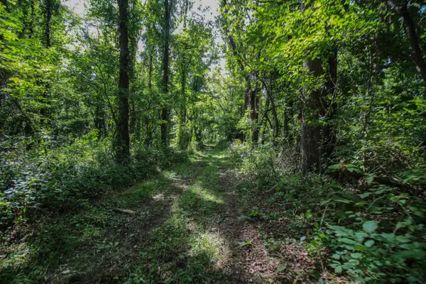V/L Millard Road, Three Rivers, MI 49093