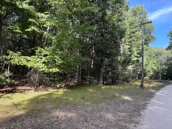 Lot 136 Wayne Avenue, Pentwater, MI 49449
