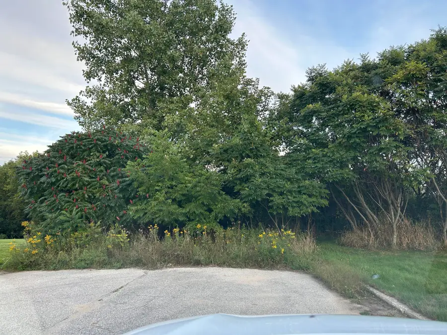 N Michigan Street, Fremont, MI 49412 - #2