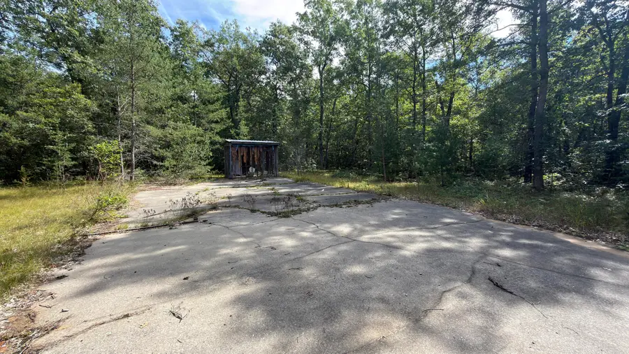 151 N Horseshoe Bend Road, Manistee, MI 49660 - #3