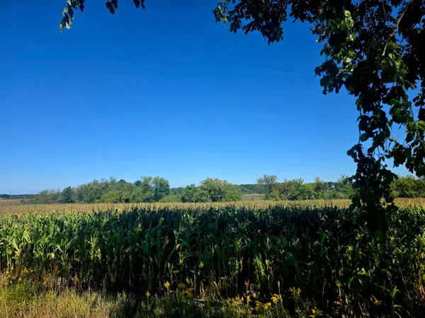 W 24th St, Fremont, MI 49412