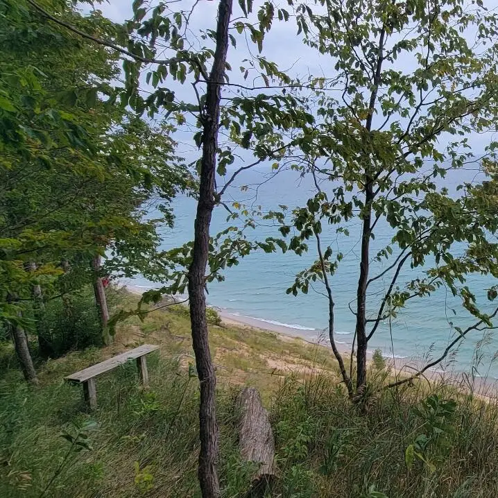 15200 V/l Lake Bluff Rd. Arcadia Mi Road, Arcadia, MI 49613 - #3