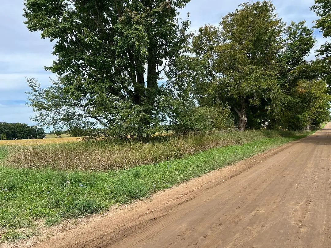 Vining Road, Lakeview, MI 48850 - #1