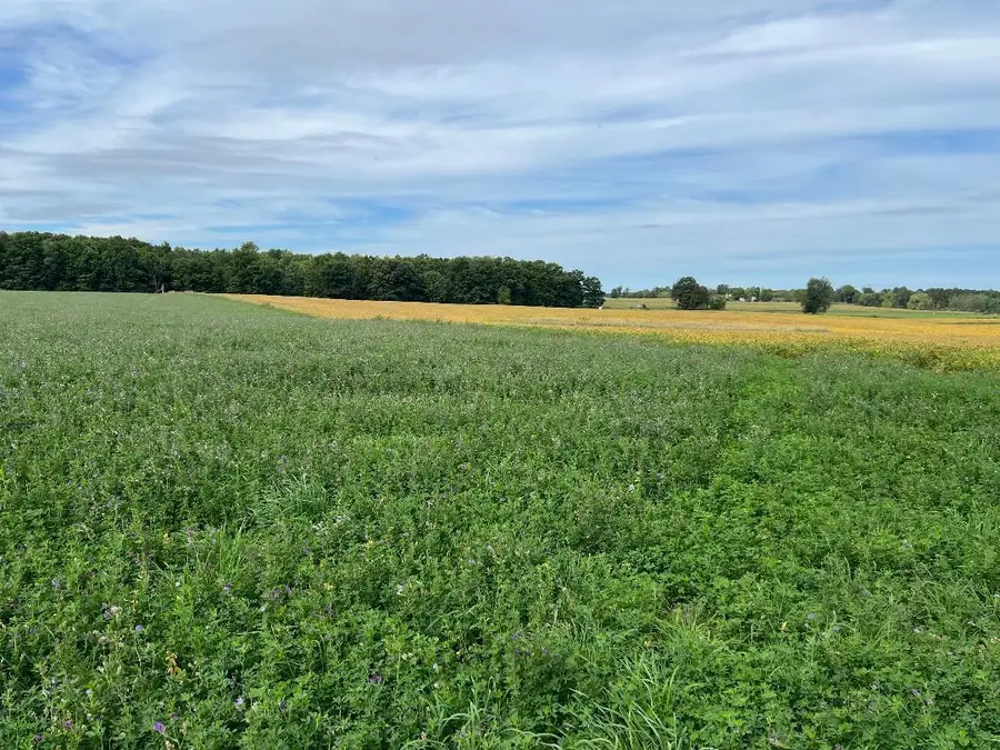 Vining Road, Lakeview, MI 48850 - #3