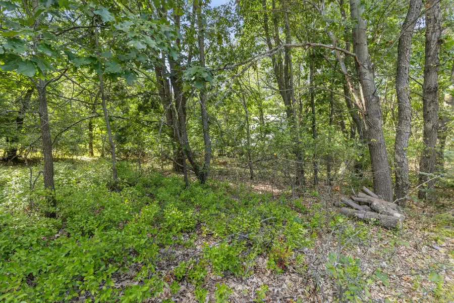 V/L Seneca Dr., Howard City, MI 49329 - #3