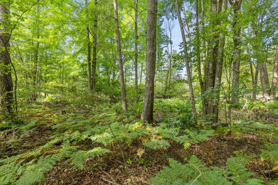 V/L Blackfoot Trail, Howard City, MI 49329 - #2