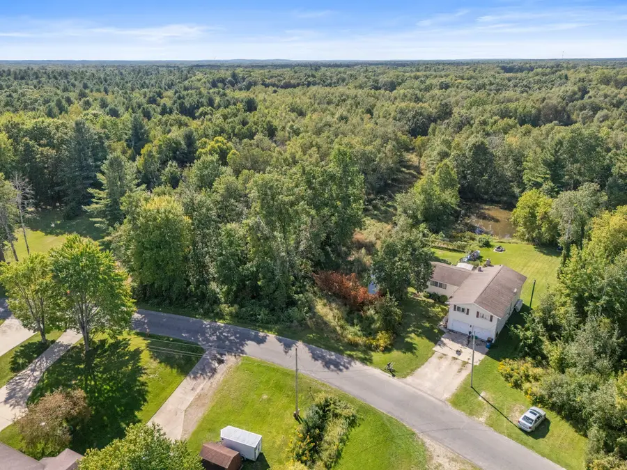 V/L Cochise Dr, Howard City, MI 49329 - #2