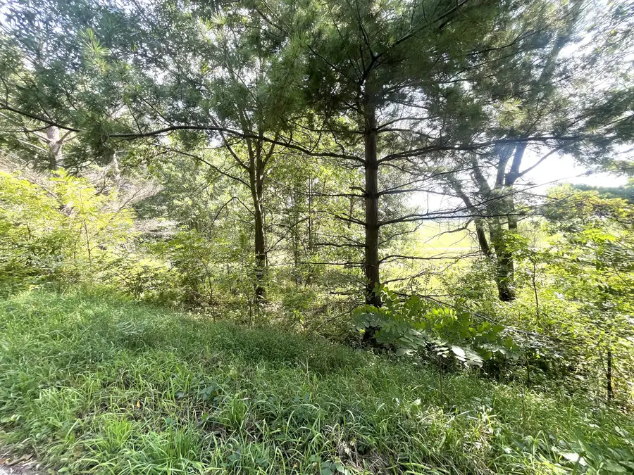6823 Grand River Road, Rives Junction, MI 49277 - #3