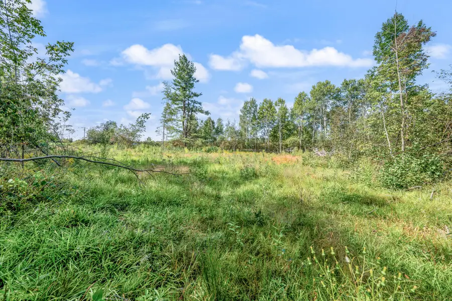 5.8 A V/L 220th Avenue, Big Rapids, MI 49307 - #3