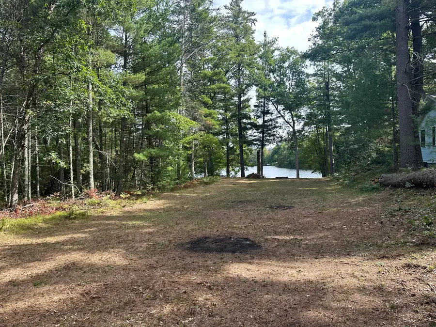 8602 S Division Road, Baldwin, MI 49304 - #3