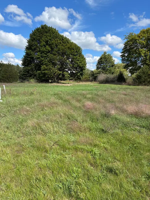 V/L W Ellis Avenue, Belding, MI 48809