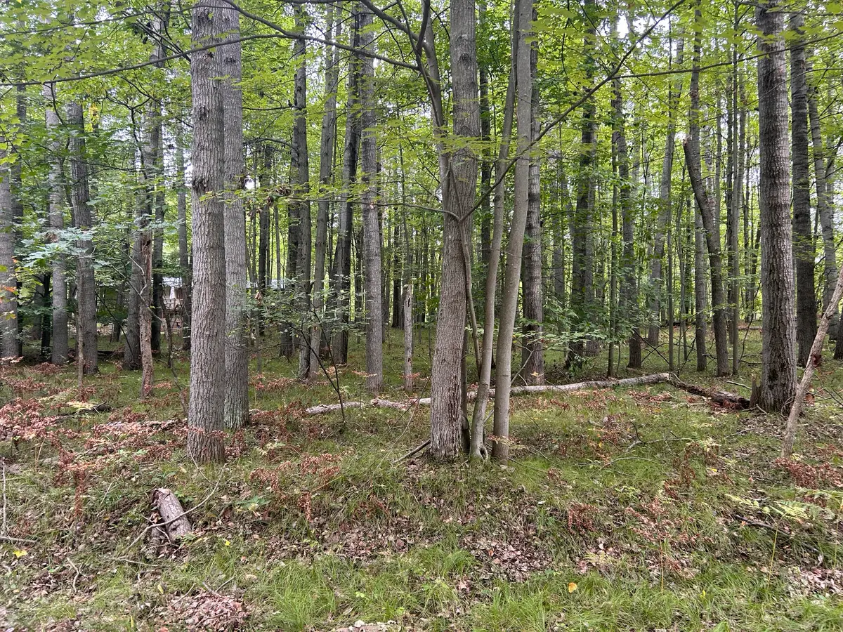 8228 Tanglewood Trail, Stanwood, MI 49346 - #1