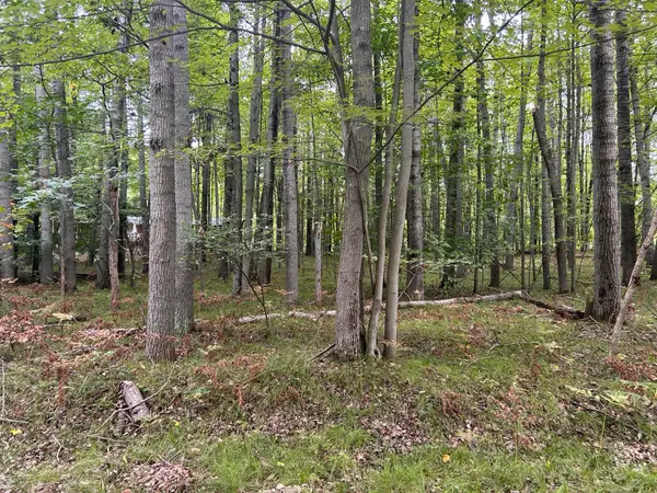 8228 Tanglewood Trail, Stanwood, MI 49346