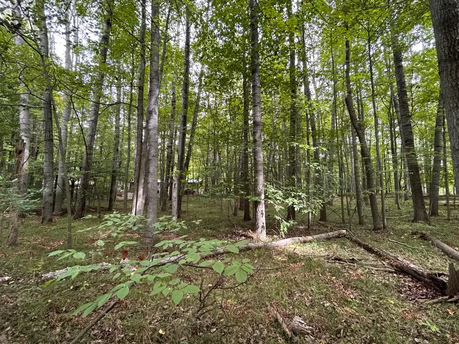 8228 Tanglewood Trail, Stanwood, MI 49346 - #2