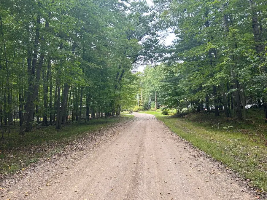 8228 Tanglewood Trail, Stanwood, MI 49346 - #3