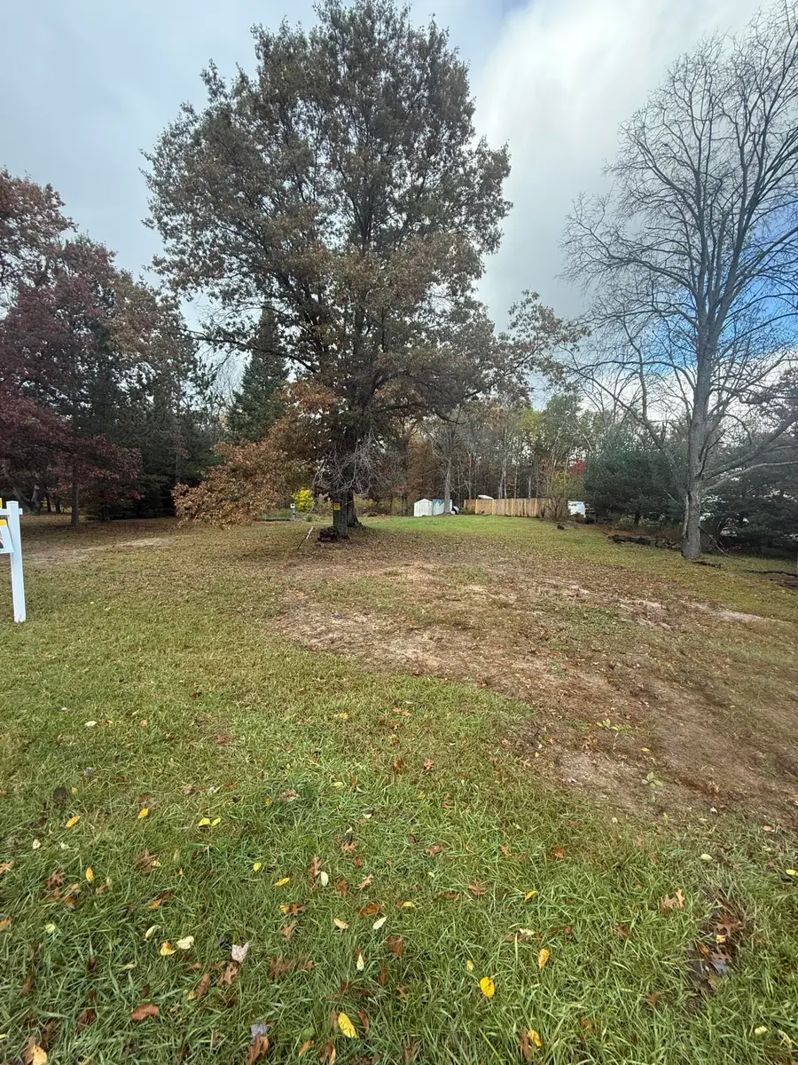 9610 W Lotan Road, Lake City, MI 49651 - #2