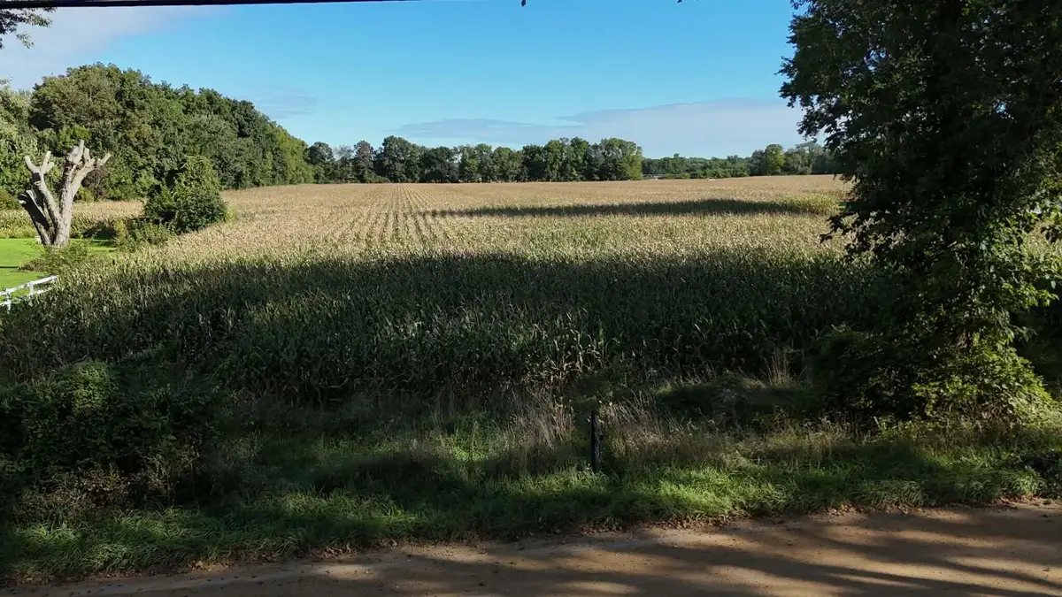 VL Burton Road, Niles, MI 49120 - #1