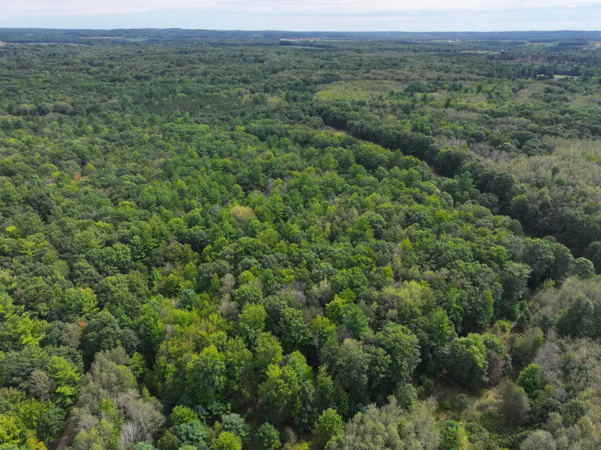 V/L 5.5A W Jefferson Road, Hart, MI 49420 - #1
