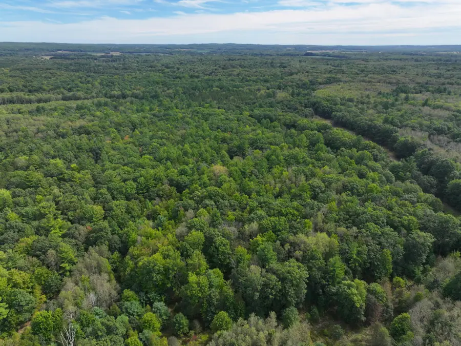 V/L 5.5A W Jefferson Road, Hart, MI 49420 - #3
