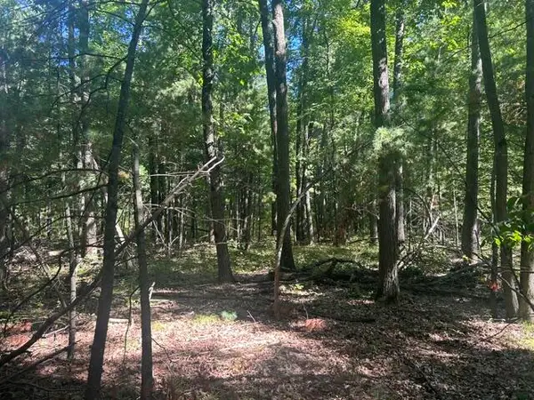 9 Mile Road, Stanwood, MI 49346