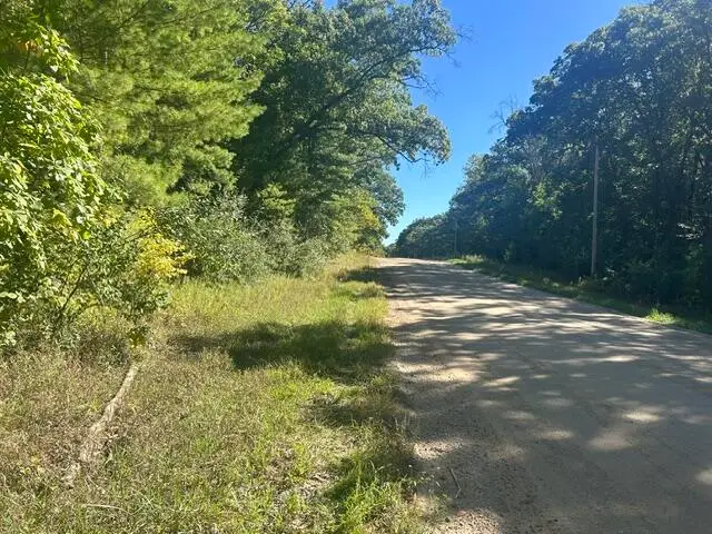 9 Mile Road, Stanwood, MI 49346 - #2