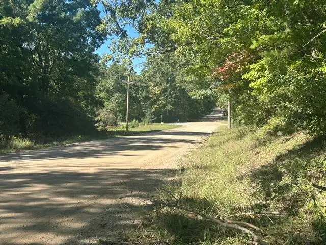9 Mile Road, Stanwood, MI 49346 - #3