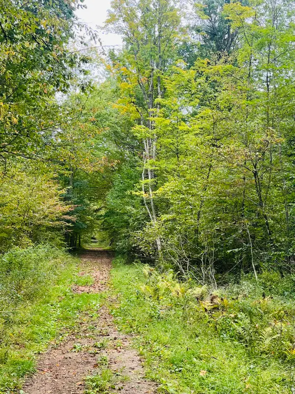 00 200th Avenue, Stanwood, MI 49346