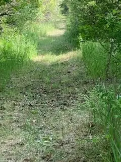 30th Avenue, Remus, MI 49340 - #2