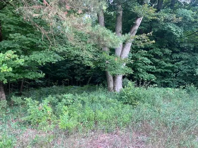 14 Acres 9 Mile Road, Kaleva, MI 49645 - #3
