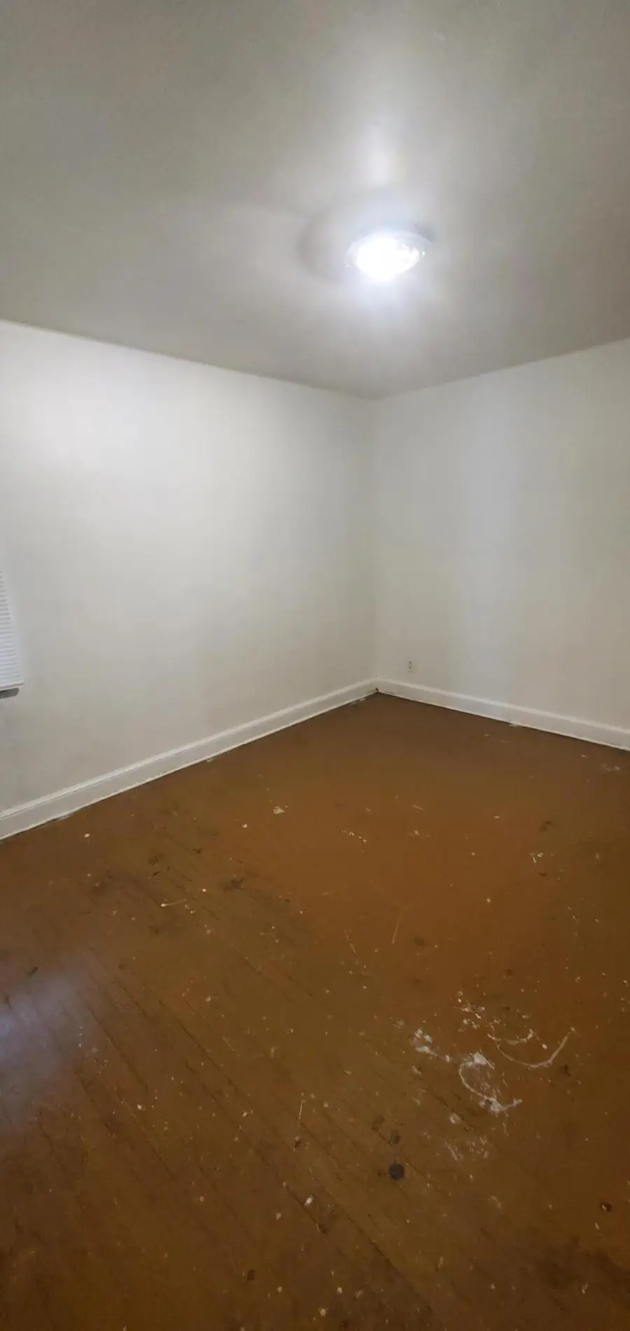 11828 College Street, Detroit, MI 48205 - #3