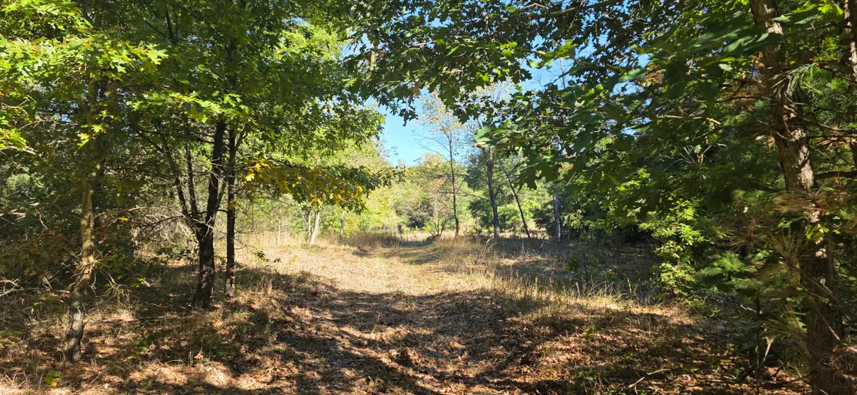 River Ranch Road, Hersey, MI 49639 - #1