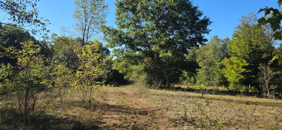 River Ranch Road, Hersey, MI 49639 - #3
